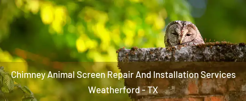  Chimney Animal Screen Repair And Installation Services Weatherford - TX