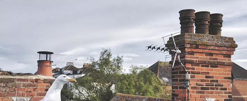 Chimney Cleaning And Restoration in Weatherford, Texas