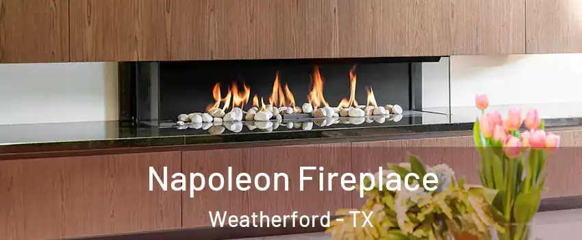  Napoleon Fireplace Weatherford - TX